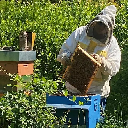 Savorgnan 1593 דירה